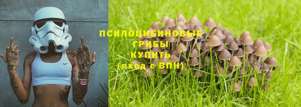 меф Ельня