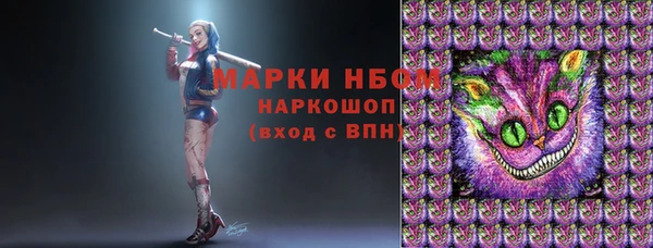 меф Ельня