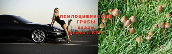 ешки Вуктыл