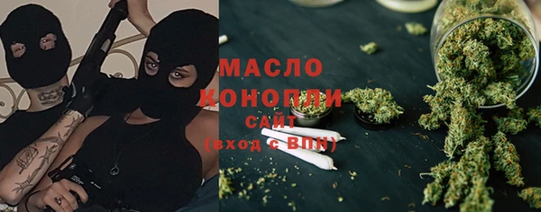 меф Ельня