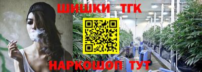 мдпв Гагарин