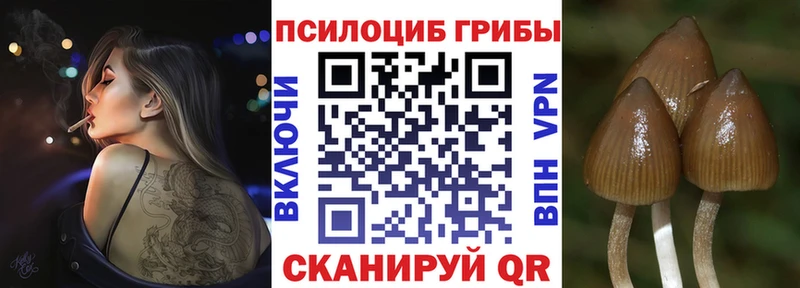 omg   Зеленогорск  Галлюциногенные грибы ЛСД 