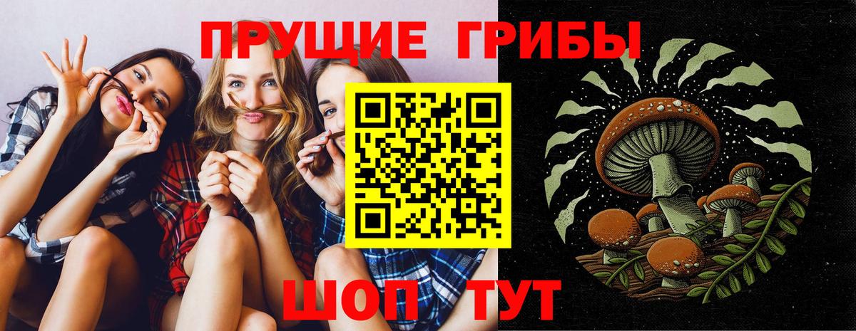 Галлюциногенные грибы Psilocybe  где купить наркоту  Псилоцибиновые грибы прущие грибы  Зеленогорск  Вход с VPN 